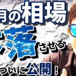 ２月の相場を下落させる方法を「ついに」公開！！