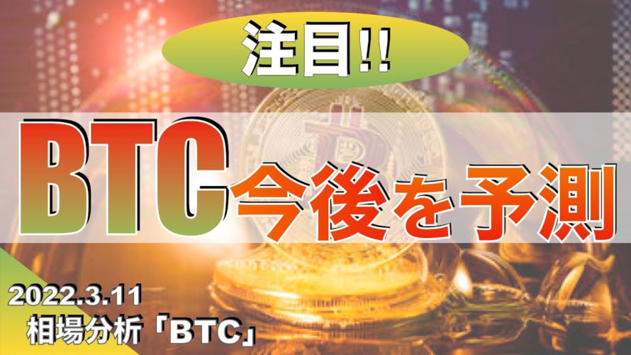 【BTC】ビットコイン今後を予測(2023年3月11日 相場分析)