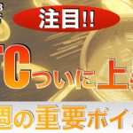 【BTC】ビットコインついに上昇‼︎今週の重要ポイント（2023年3月18日 相場分析）