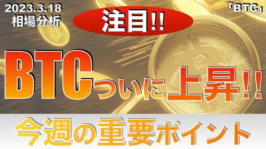 【BTC】ビットコインついに上昇‼︎今週の重要ポイント(2023年3月18日 相場分析)