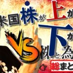 米国株が上がる理由＆下がる理由【総まとめ動画】株と為替の行方を徹底検証～♪