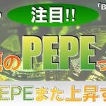 【BTC,PEPE】話題のPEPEって？ぺぺコインまた上昇する⁉︎（2023年5月20日 相場分析）