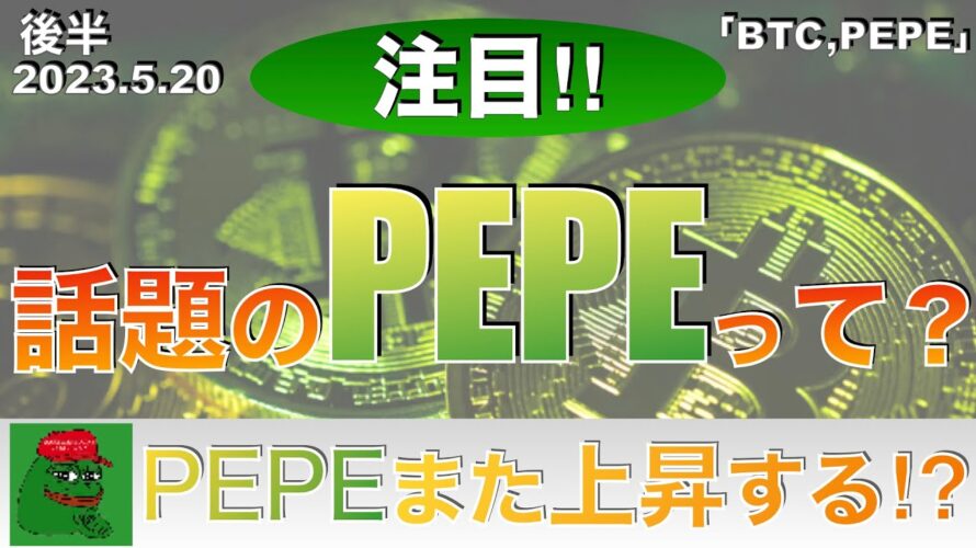 【BTC,PEPE】話題のPEPEって?ぺぺコインまた上昇する⁉︎(2023年5月20日 相場分析)