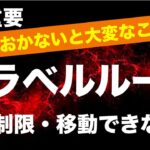 【すぐチェックして！】送金ルールが厳しくなります！知らないと移動できなくなるかも!?／トラベルルール強化について解説