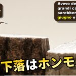 この下落は『ホンモノ』なのか検証！！始まった６月相場！