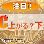 【BTC.LTC】ビットコイン上がる？下がる？（2023年7月8日 相場分析）
