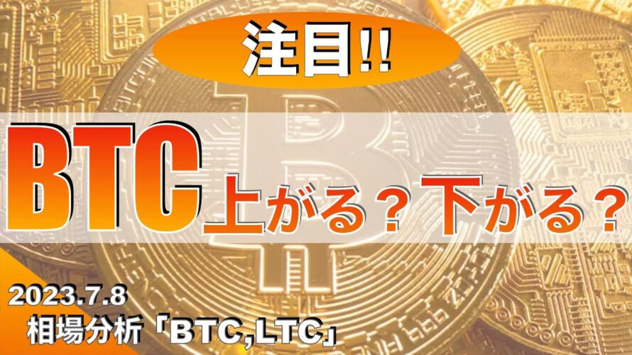 【BTC.LTC】ビットコイン上がる?下がる?(2023年7月8日 相場分析)