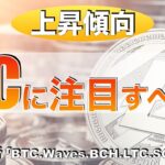 【BTC.Waves.BCH.LTC.SOL】ライトコインに注目すべき⁉︎（2023年7月1日 相場分析）