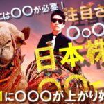 注目される〇〇〇〇株！日本株は〇〇で買う！！11／21に〇〇〇が上がりはじめる！原油UPには〇〇が必要！
