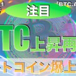 【BTC、ADA、ENJ】ビットコイン上昇再び！アルトコイン爆上げ！？（2023年11月11日相場分析）