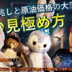 円高の兆しと原油大波乱！株の見極め方を笑い重視で解説♪