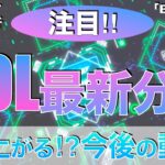 【BTC、SOL】「ソラナ最新分析」まだ上がる⁉︎今後の動き‼︎（2024年1月27日相場分析）