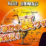 【番外編】ハワイ好きの投資家必見！！裏技チャンネル発見！奇跡は起きるのか！！
