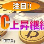 【BTC】ビットコイン上昇継続か⁉︎（2024年2月10日相場分析）