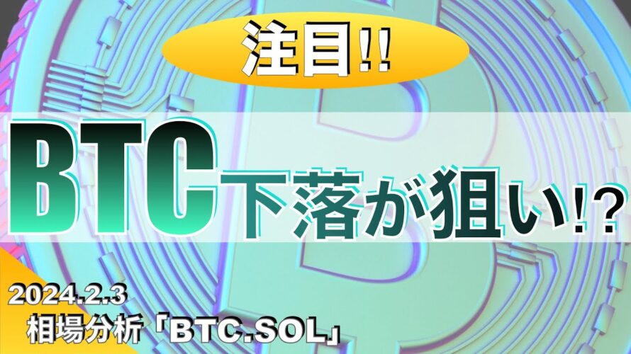 【BTC、SOL】ビットコイン下落が狙い⁉︎(2024年2月3日相場分析)