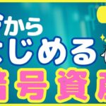 【保存版】ゼロからでもできる！今から始める暗号資産の投資とその可能性をわかりやすく解説（2024年）