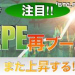 【BTC、PEPE、ALT】ペペコイン再ブーム⁉︎また上昇する‼︎（2024年3月9日相場分析）