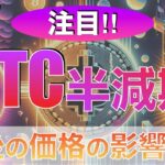 【BTC】BTC半減期「今後の価格に影響⁉︎」（2024年4月20日相場分析）