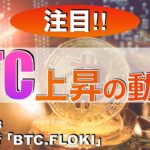 【BTC, FLOKI】ビットコイン上昇の動き‼︎（2024年5月18日相場分析）