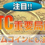 【BTC FLOKI】ビットコイン重要局面‼︎ミームコインにも注目⁉︎（2024年5月25日相場分析）