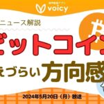 方向感見えづらいBTC📈最新ニュース解説💰🐱【Voicy 5月20日放送】