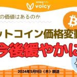 ビットコインの価格変動は今後緩やかに/投資の価値はあるのか?【Voicy 5月9日放送】
