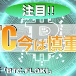 【BTC FLOKI】ビットコイン今は慎重に⁉︎（2024年6月1日相場分析）