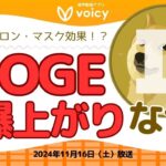 ドージコインなぜ爆上がり‼️まだ上がる⁉️【Voicy11月16日放送】