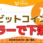 BTC4%下落の原因はエラー❓/ヴィタリック氏カバの赤ちゃんのパパに【Voicy12月27日放送】