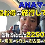 ANAのマイルを超お得に使って旅行してみた！ビジネスクラスも乗れてこれで22500マイル