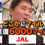 JALの”どこかにマイル”に挑戦!!ランダムで旅行地決定!!