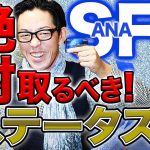 SFC修行!？ANA上級会員スーパーフライヤーズカードとは？お得な特典を初心者向けに解説【プラチナ・マイル】