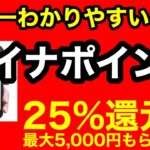 マイナポイントについて、世界一わかりやすく簡単に解説／上限5000円、還元率25%／登録方法、アプリ、マイナンバーカードの取得方法についても説明しております。