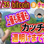 【仮想通貨】ビットコイン相場分析　9,600ドルが重い!!がなんとか100万円台をキープ!!週明けの動きは要注目!!