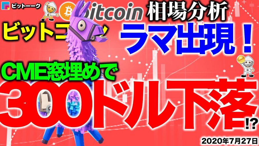 【ビットコイン 仮想通貨】ラマ出現!CME窓埋めで300ドルの下落【2020年7月27日】BTC、ビットコイン、XRP、リップル、仮想通貨、暗号資産、爆上げ、暴落