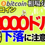 【ビットコイン 仮想通貨】12000ドルで落とされる理由【2020年8月2日】BTC、ビットコイン、XRP、リップル、仮想通貨、暗号資産、爆上げ、暴落