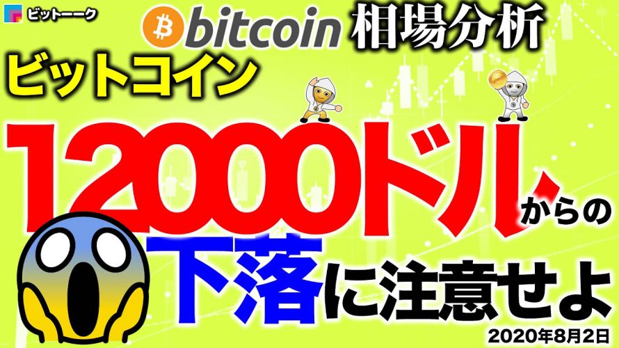 【ビットコイン 仮想通貨】12000ドルで落とされる理由【2020年8月2日】BTC、ビットコイン、XRP、リップル、仮想通貨、暗号資産、爆上げ、暴落