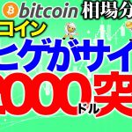 【ビットコイン 仮想通貨】下ヒゲがサインで12000ドル突破へ！【2020年8月8日】BTC、ビットコイン、XRP、リップル、仮想通貨、暗号資産、爆上げ、暴落