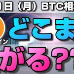 【仮想通貨】ビットコインどこまで上がる？今後の値動きは？1時間足の方向性と来週の値動きについて。ローソク足だけでBTCの今後の相場を分析！BTC/USD【8月31日（月）】