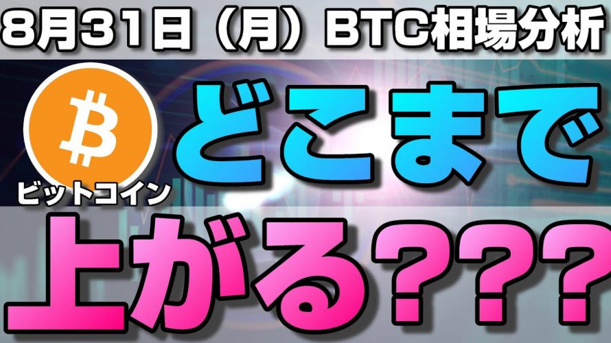 【仮想通貨】ビットコインどこまで上がる?今後の値動きは?1時間足の方向性と来週の値動きについて。ローソク足だけでBTCの今後の相場を分析!BTC/USD【8月31日(月)】