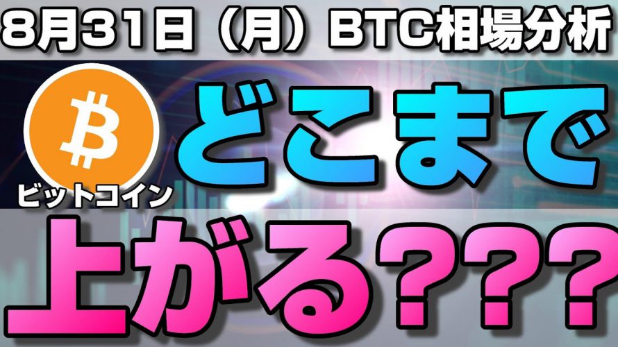 【仮想通貨】ビットコインどこまで上がる？今後の値動きは？1時間足の方向性と来週の値動きについて。ローソク足だけでBTCの今後の相場を分析！BTC/USD【8月31日（月）】