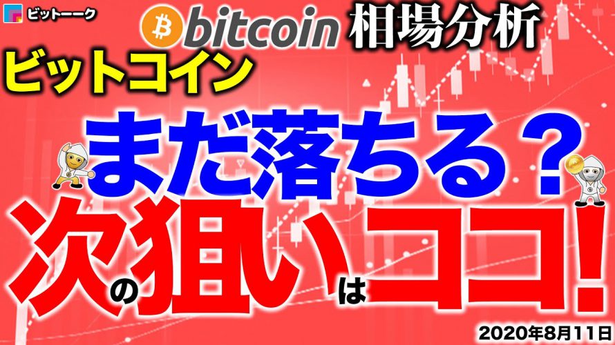 【ビットコイン 仮想通貨】ヘッドアンドショルダーでまだ落ちる!?次の狙いはココ!【2020年8月11日】BTC、ビットコイン、XRP、リップル、仮想通貨、暗号資産、爆上げ、暴落