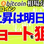 【ビットコイン 仮想通貨】上昇は明日！？今日はタイミングよくショートを狙う！【2020年8月12日】BTC、ビットコイン、XRP、リップル、仮想通貨、暗号資産、爆上げ、暴落