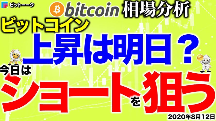 【ビットコイン 仮想通貨】上昇は明日！？今日はタイミングよくショートを狙う！【2020年8月12日】BTC、ビットコイン、XRP、リップル、仮想通貨、暗号資産、爆上げ、暴落