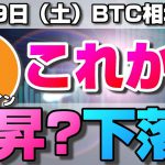 【仮想通貨】ビットコインこれから上昇？下落？今後の値動きは？4時間足のダブルボトム形成からの今後の方向性について。ローソク足だけでBTCの今後の相場を分析！BTC/USD【8月28日（土）】