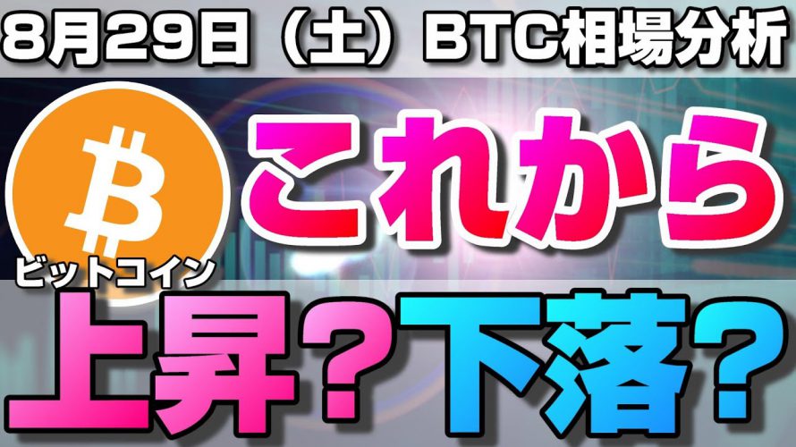 【仮想通貨】ビットコインこれから上昇？下落？今後の値動きは？4時間足のダブルボトム形成からの今後の方向性について。ローソク足だけでBTCの今後の相場を分析！BTC/USD【8月28日（土）】