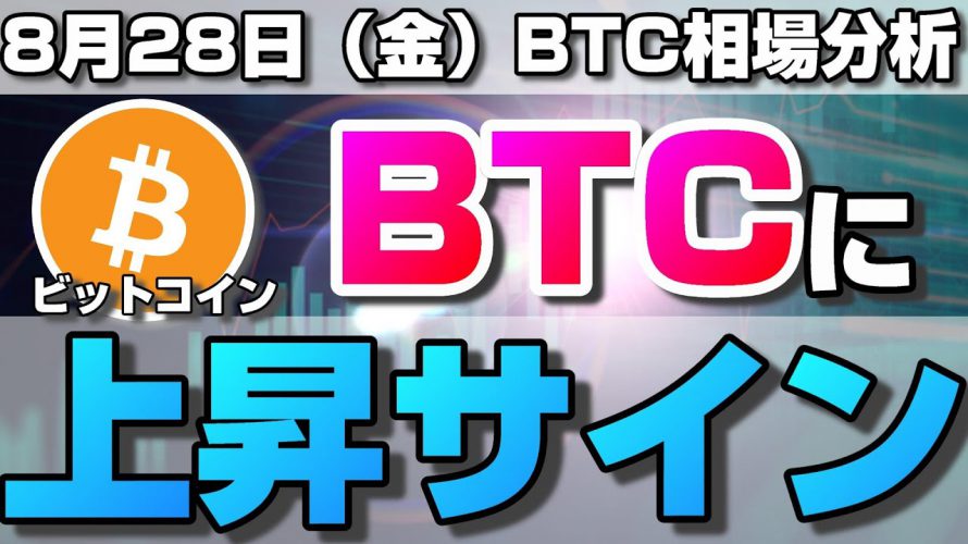 【仮想通貨】ビットコインに上昇サイン出現!4時間足の上髭ピンバーが示す今後の方向性とは。ローソク足だけでBTCの今後の相場を分析!BTC/USD【8月28日(金)】