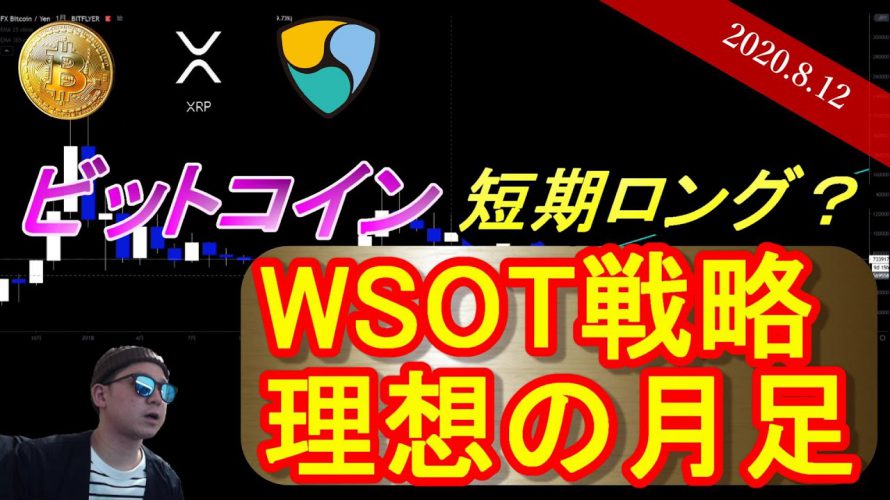 【ビットコイン値動き予想】短期は4時間足確定待ってロングできそう。中期では下落し、月足引けにかけて上昇してくれるとWSOTは楽ですね。