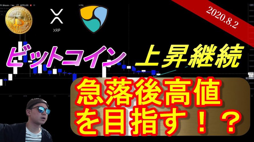 【BTC】ビットコイン急騰からの急落。現物はホールドしましょう。