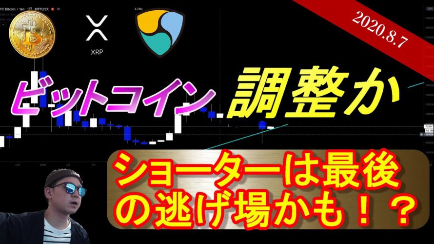 【BTC】ビットコイン一旦調整局面か。やはり二週間は10500ドルを守りそう。